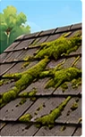 Roof moss treatment illustration