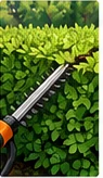 Hedge & Shrub Trimming illustration